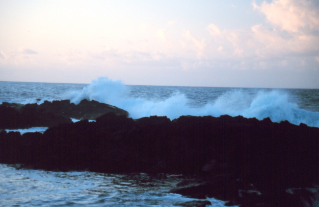 The coastline near Hilo