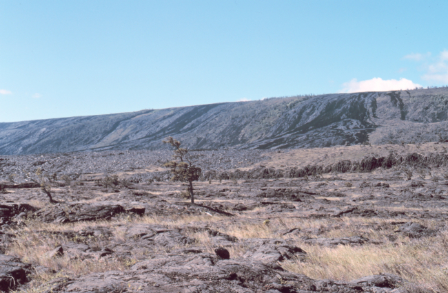 Looking at Kilauea Volcano from the coast road