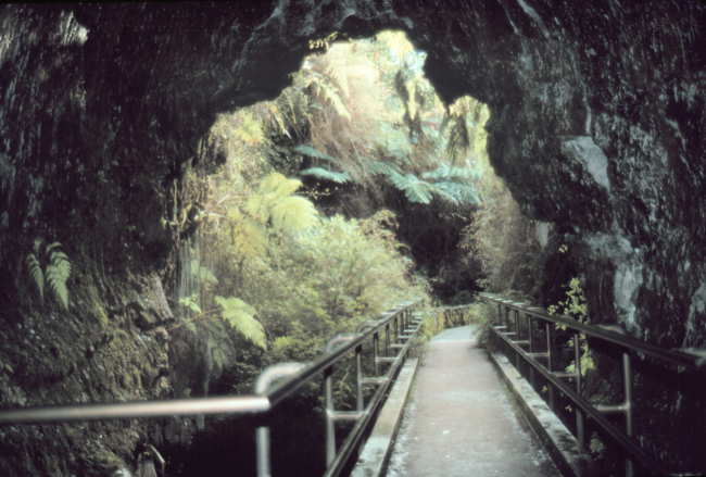 Inside Thurston Lava Tube