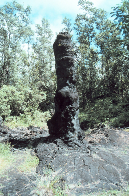 A lava tree formed by lava cooling around the tree trunk - some like this one