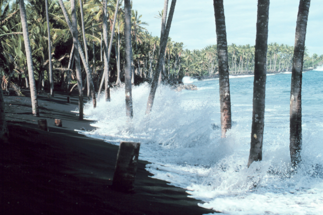 A black lava sand beach - since destroyed by lava flows