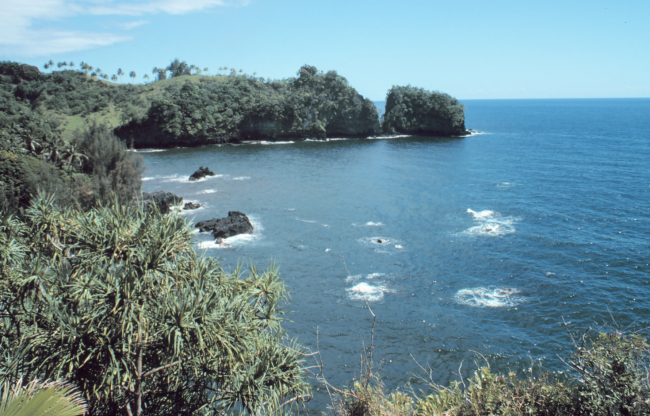 A coastal scene north of Hilo