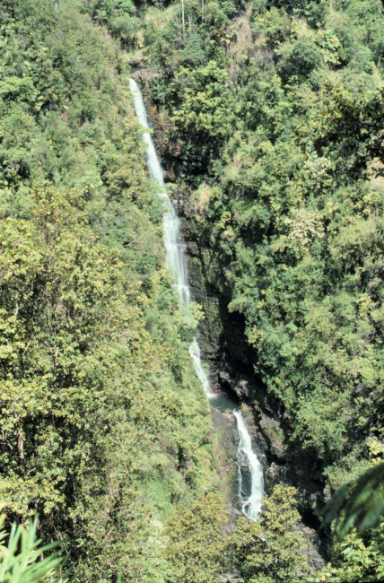 Akaka Falls