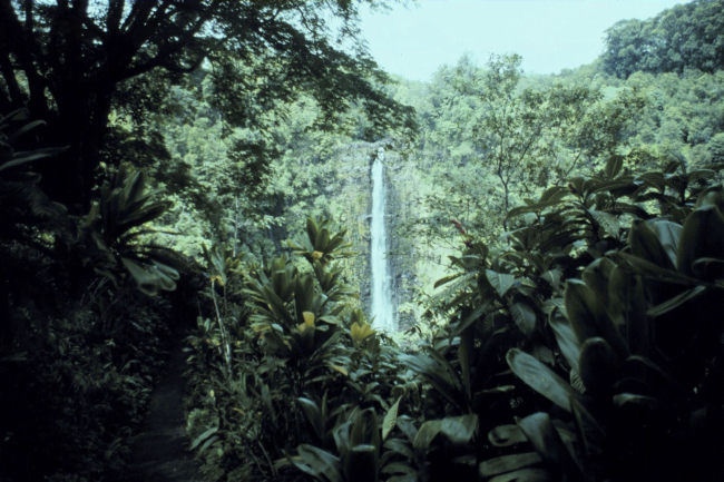 Akaka Falls