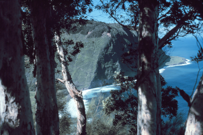 Looking northwest across the Waipio Valley to the Kohala Mountains On the northwest tip of Hawaii