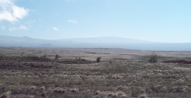 A near desert appearing scene south of the Kohala Mountains on the Parker Ranch