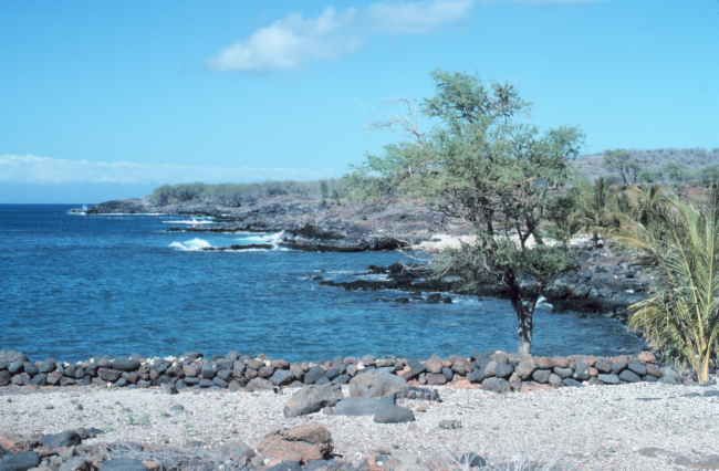 A scene along the Kona Coast