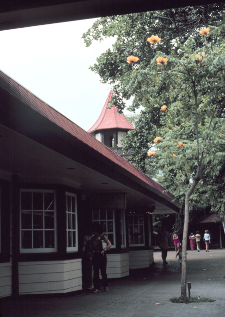 A scene in the town of Kona