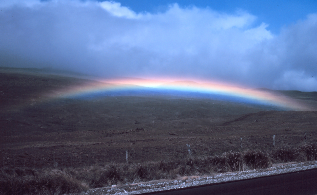 A brilliant Hawaiian rainbow