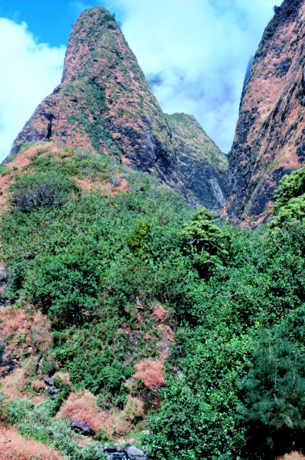 View of the Iao Needle in the West Maui Mountains