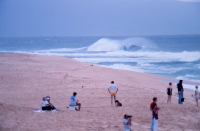 Large surf breaking on the North Shore of Oahu