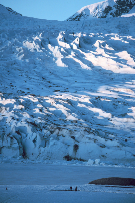Mendenhall Glacier