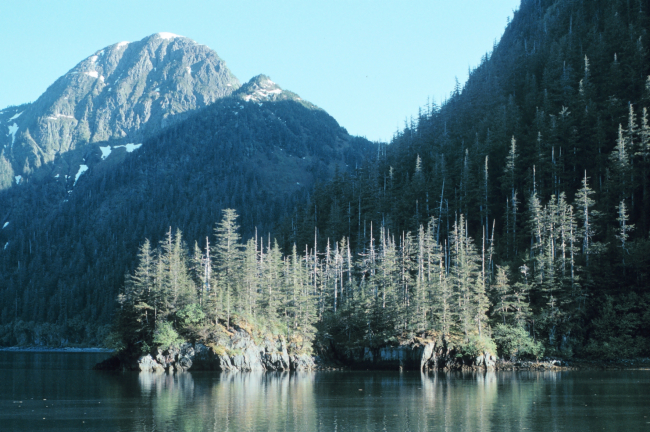Prince William Sound