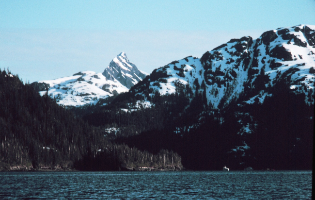Prince William Sound