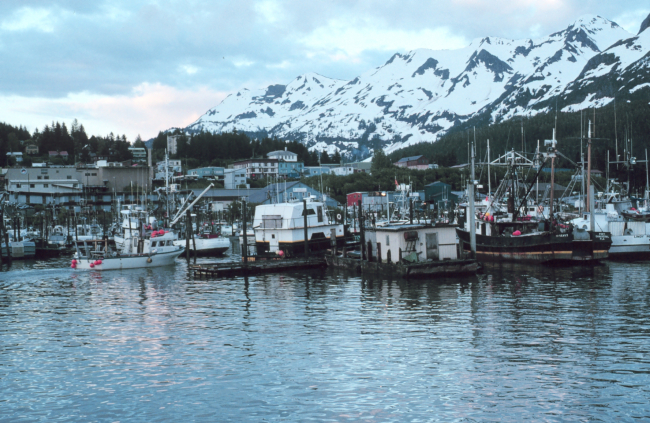 Fishing boats at Cordova
