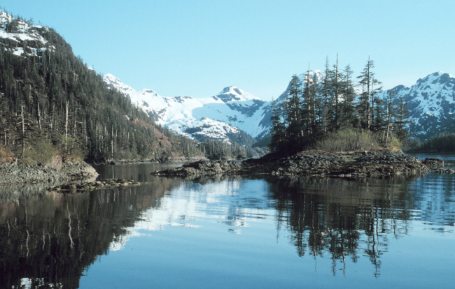 Scene in Prince William Sound