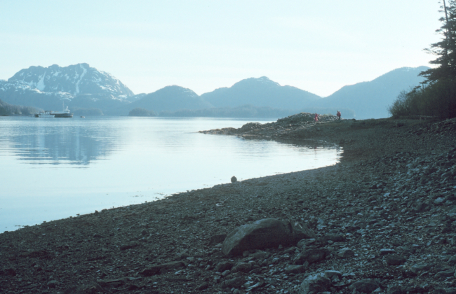 EXXON remedial vessels still working on beaches one year after the EXXON VALDEZdisaster