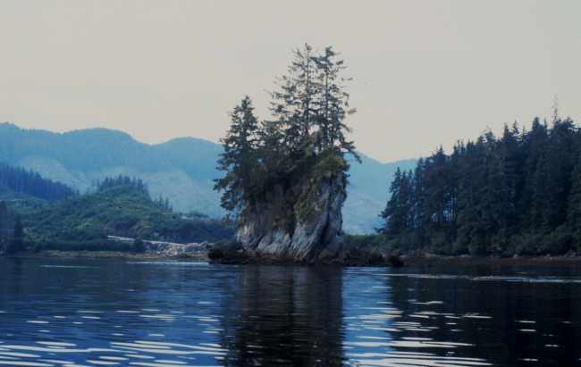 Small islet in Hobart Bay on east side of Stephens Passage