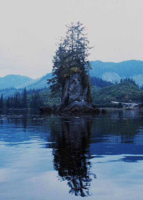 Small islet in Hobart Bay on east side of Stephens Passage
