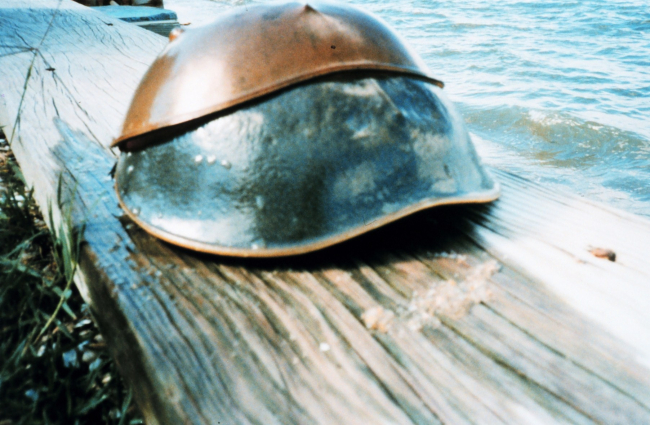 Dead, half-shed horseshoe crab