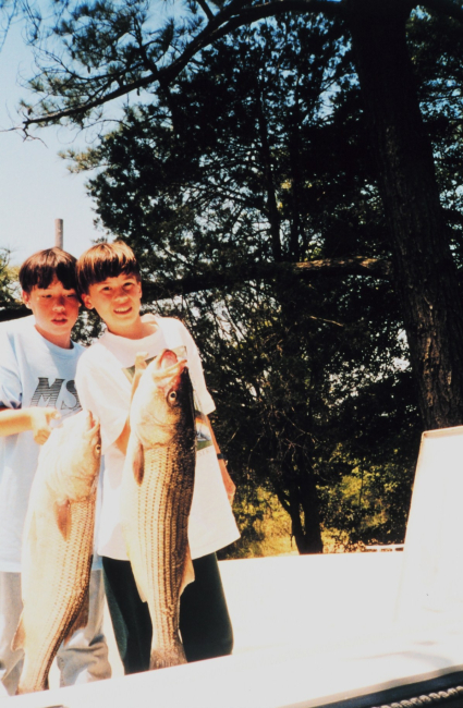Old rockfish ( striped bass) caught by young fishermen