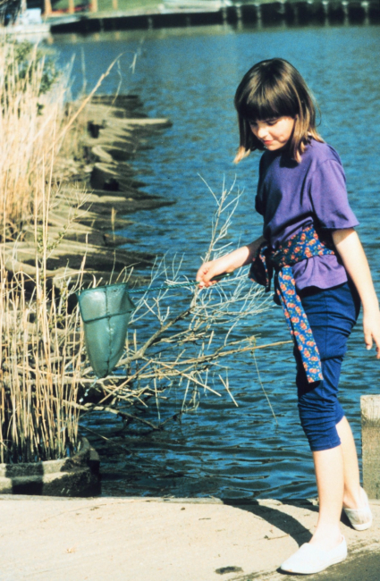 Searching for critters with a small net in a side creek to the Patuxent River