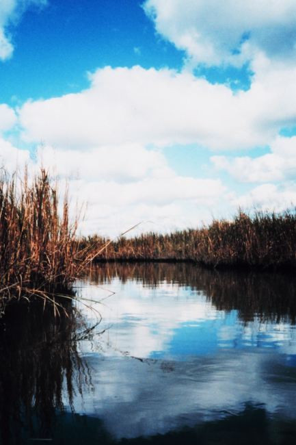 A quiet passage through marsh vegetation on the Patuxent