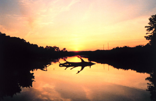 Sunset over the marsh at Cardinal Cove
