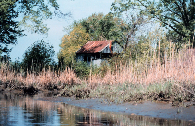 Muddy shoreline next to an abandoned shack