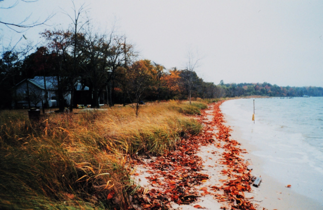 A fall high tide along a Patuxent River beach