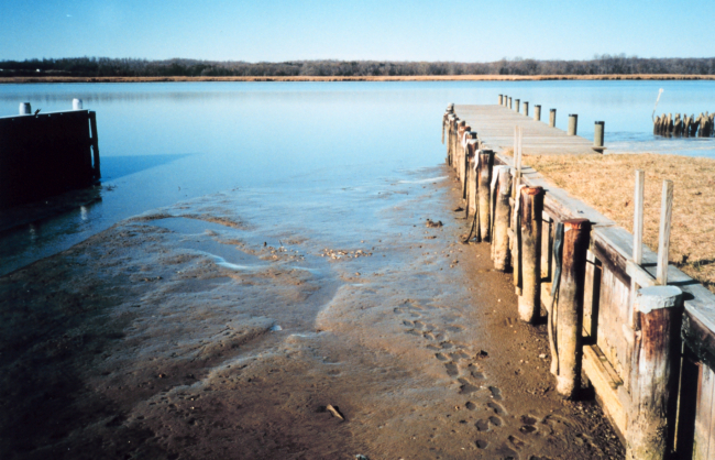 A winter extreme low tide