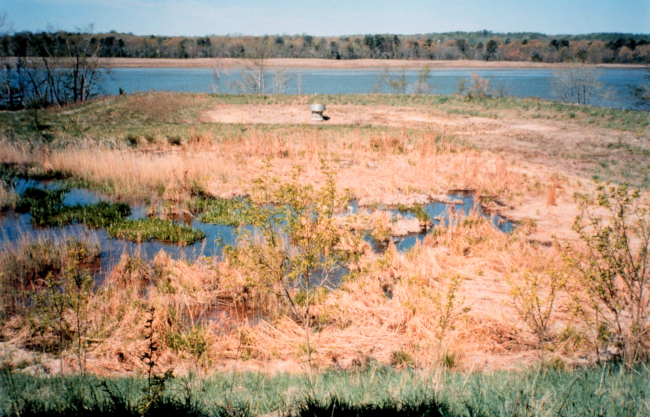Overlooking the Ferry Landing Woods sediment settlement pond and marsh
