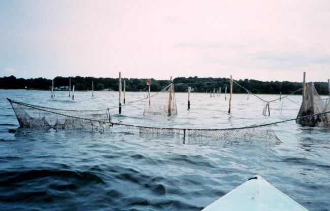 An abandoned pound net