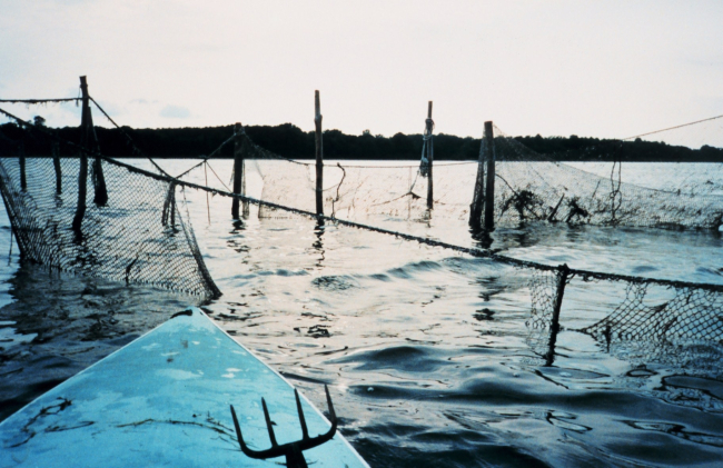 An abandoned pound net