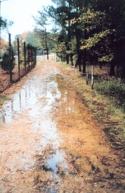 Flooding of low-lying areas by extreme high tides