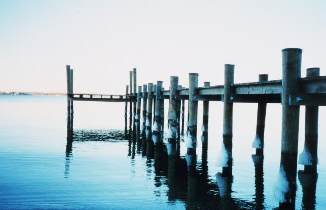 Ice marks the high tide line on these pier pilings