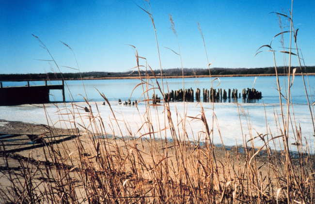 Ice along the shore at the old steamboat landing at Holland Cliffs Shores