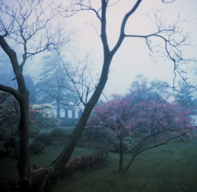A foggy St