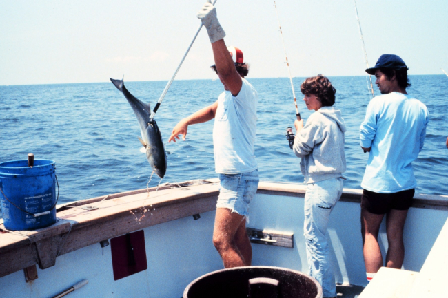 Fishing for blues in the bay - NOAA/NODC employees Melanie Hamilton andChapman Hom watch as yet another Bluefish comes aboard
