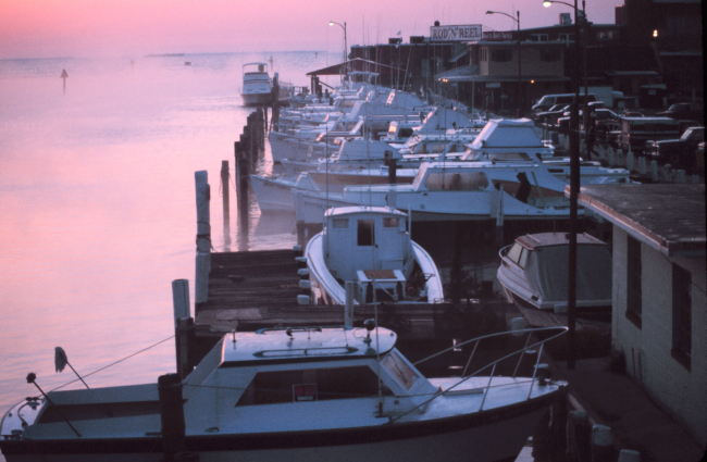 Dawn at Fishing Creek looking out towards the Chesapeake Bay