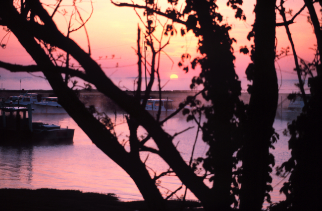 Sunrise overlooking Fishing Creek and the Chesapeake bay through the early morning fog