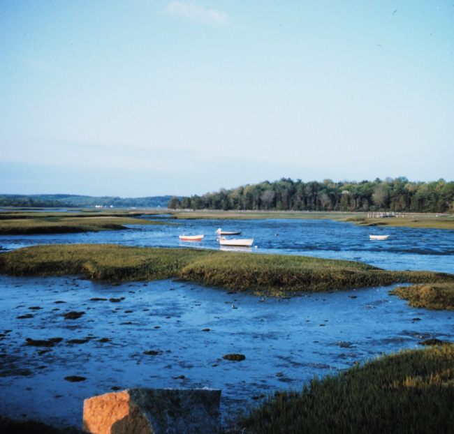 Low tide near Gloucester