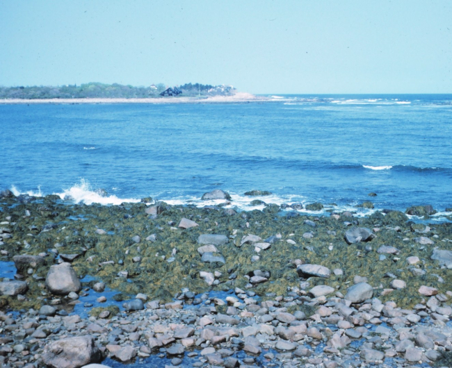 Rocky shoreline