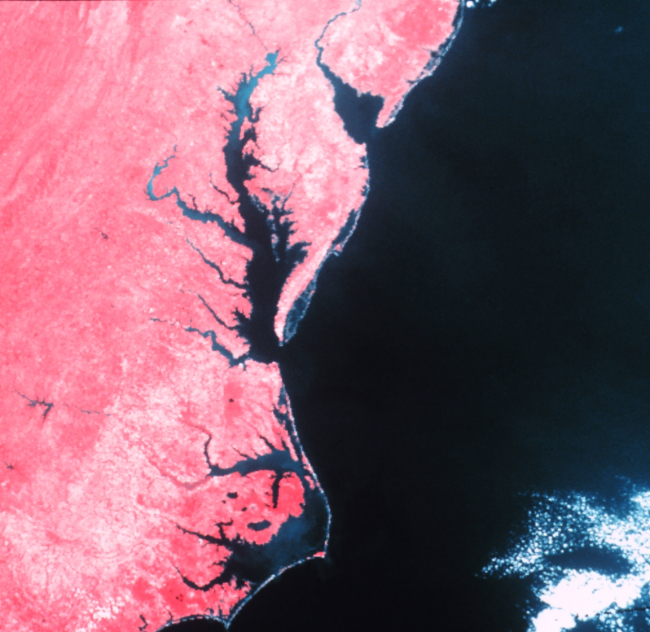 Cape Hatteras, Chesapeake Bay, and Delaware Bay as observed from a NOAAsatellite with an infra-red sensor