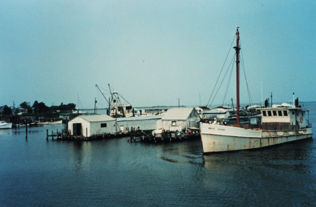 Fishing boats in the harbor at Smith Island