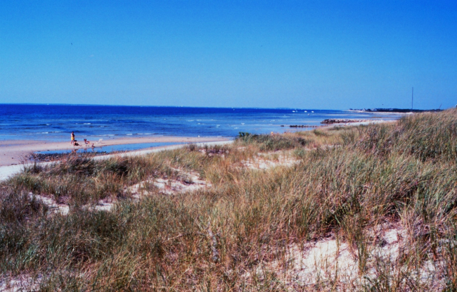 Buzzards Bay - Falmouth