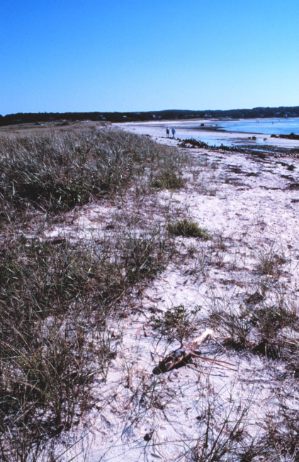 Black Beach, West Falmouth