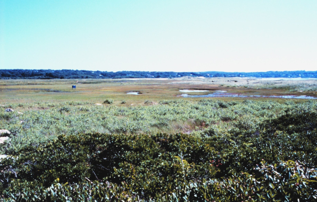 Great Sippewissett Marsh, West Falmouth