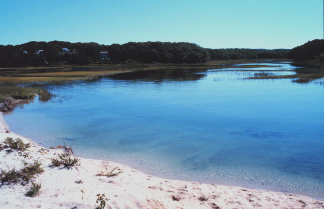Great Sippewissett Marsh, West Falmouth