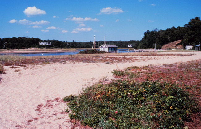 Squeteauge Harbor, North Falmouth/Bourne